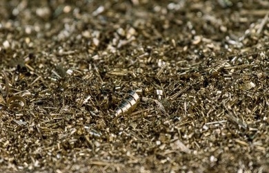 brass turning